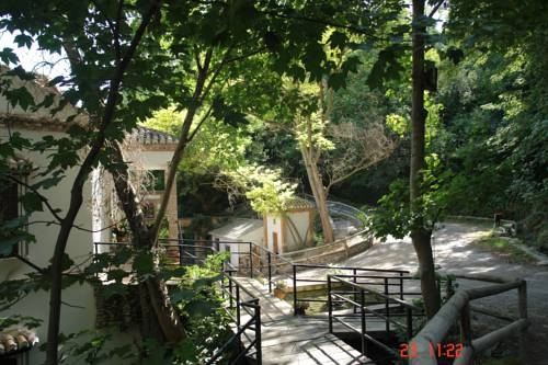 Hotel ALOJAMIENTO TURISTICO MOLINO DEL PUENTE