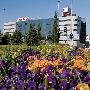 Hotel Ah San Fermin Suites Hotel Ah San Fermin Suites