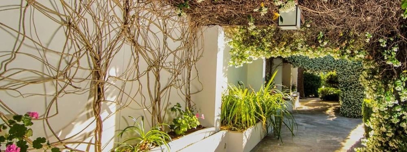 Hotel Alfabia Nou