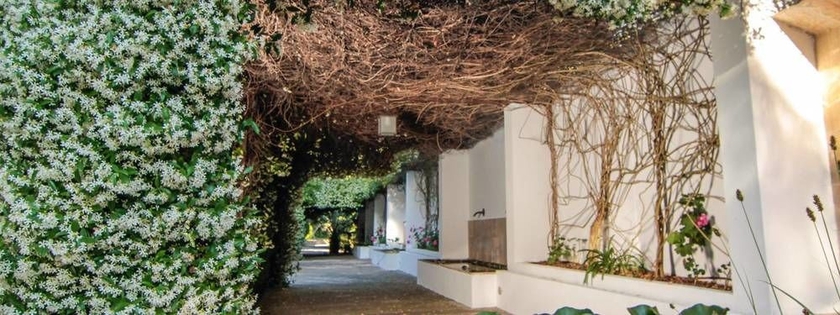 Hotel Alfabia Nou