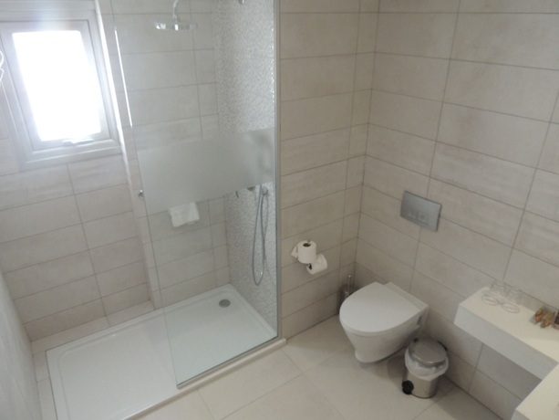 Hotel Anesis