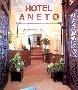 Hotel Aneto Hotel Aneto