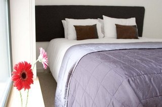 Hotel Annandale Street Apartments