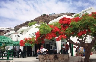 Hotel Aquacanis