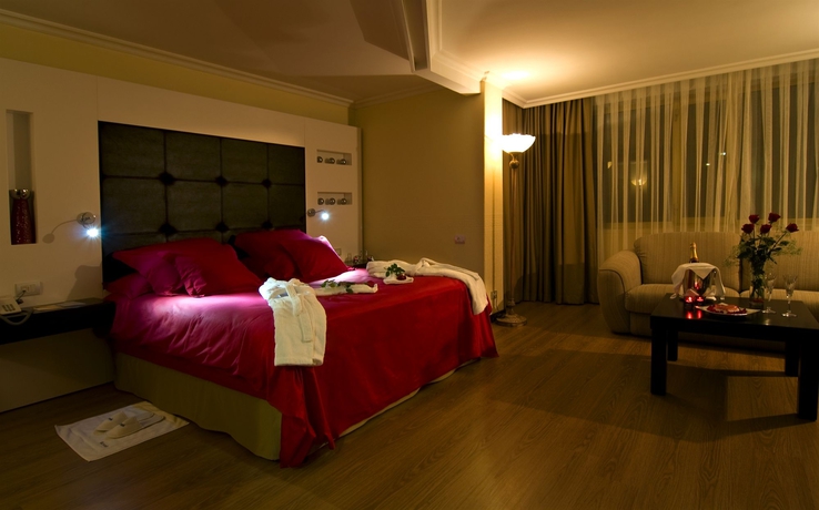 Hotel BARCELO ANKARA ALTINEL