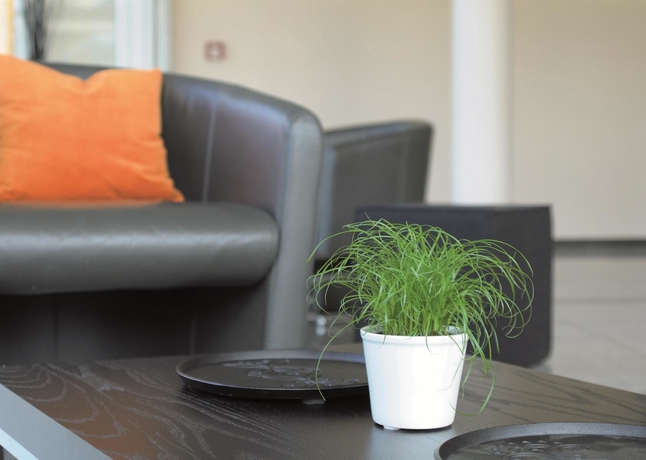 Hotel Best Western Airport Frankfurt
