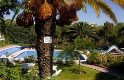 Hotel Best Western Medrano Aguascalientes