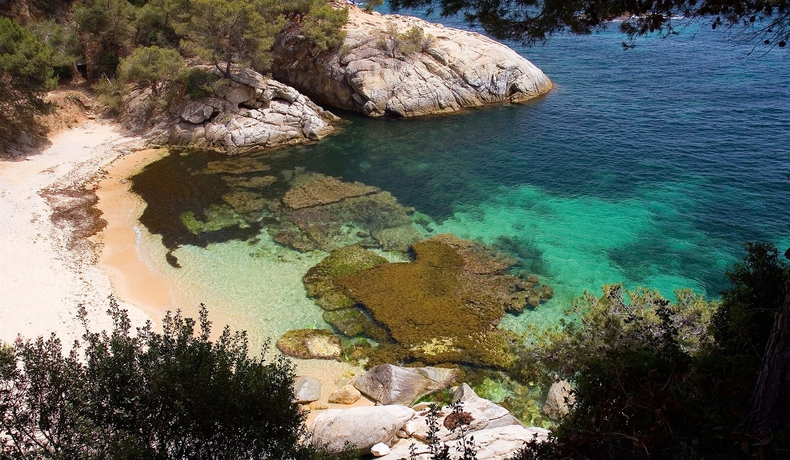 Hotel Cala del Pi 