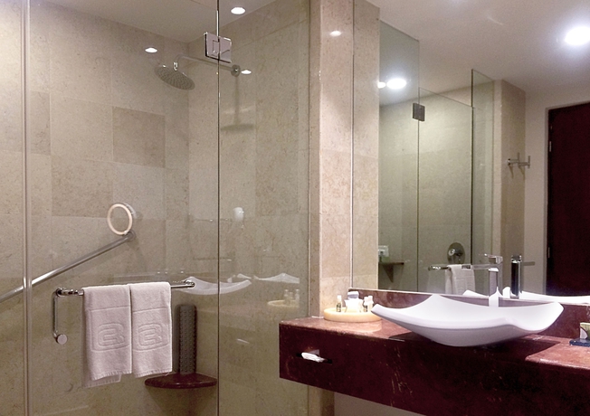 Hotel Camino Real Pedregal