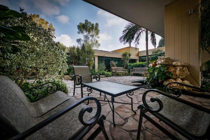 Hotel Carmel Forest Spa Resort