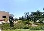 Hotel Carmel Forest Spa Resort