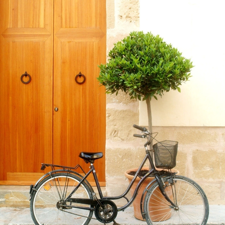 Hotel Cas Ferrer Nou