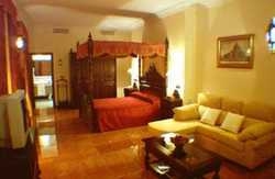 Hotel Casa del Conde de Pinofiel