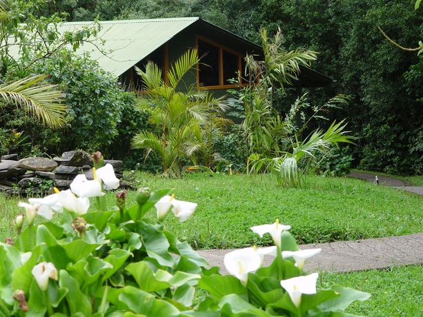 Hotel Cloudforest Lodge