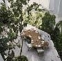 Hotel Condesa DF