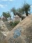 Hotel Cruccuris Resort