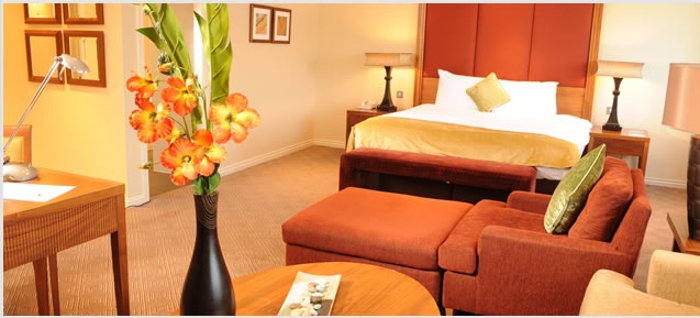 Hotel D4 Berkeley