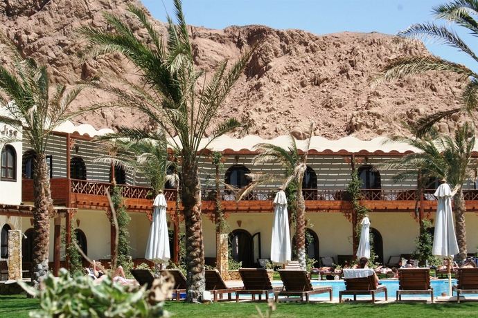 Hotel Dahab Paradise