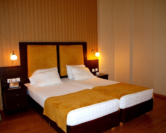 Hotel Delphi Art 