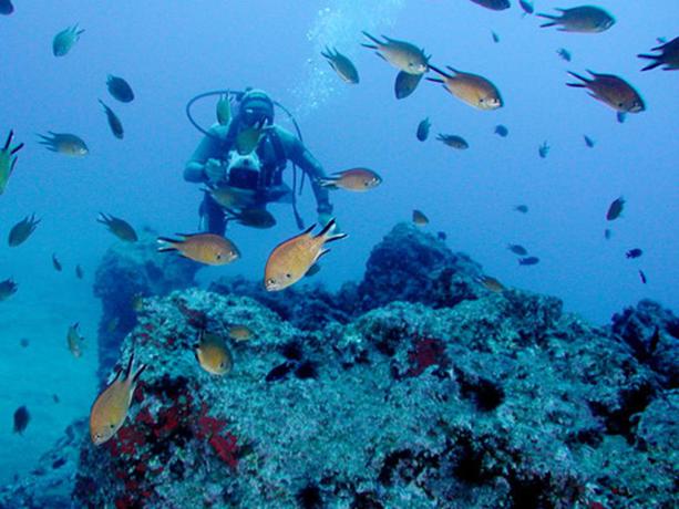 Hotel Dom Pedro Baia Club