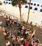 Hotel Doubletree Beach Resort Tampa Bay -North Red Beach