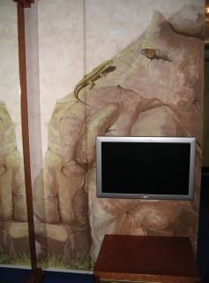 Hotel Drachen
