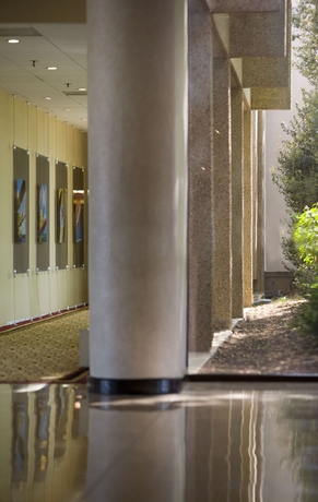 Hotel Dulles Airport Marriott