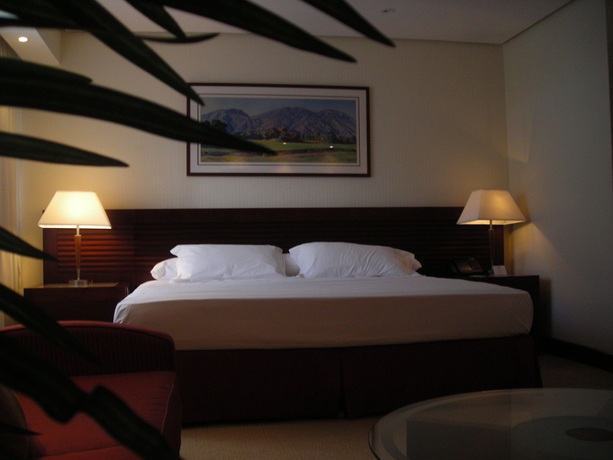 Hotel EUROBUILDING HOTEL AND SUITES CARACAS