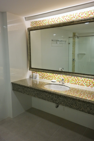 Hotel Ebina House 