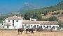 Hotel El Horcajo