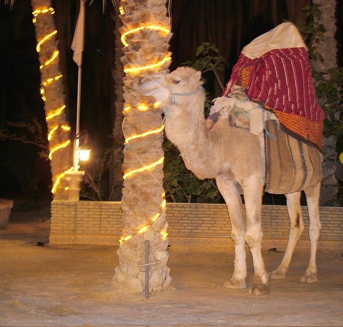 Hotel El Mouradi Tozeur