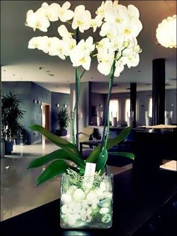 Hotel El Trebol