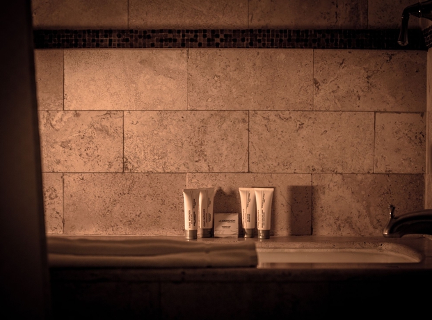 Hotel Embassy Suites Mexico City