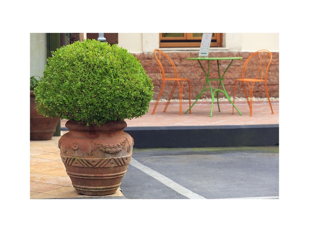 Hotel Eurogarden Roma