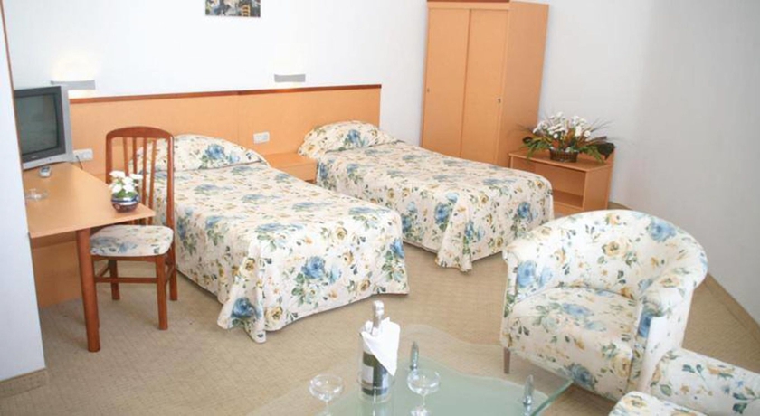 Hotel Fiesta M