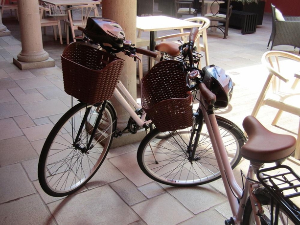 Hotel Francia