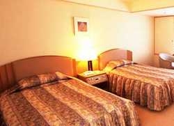 Hotel Fujita