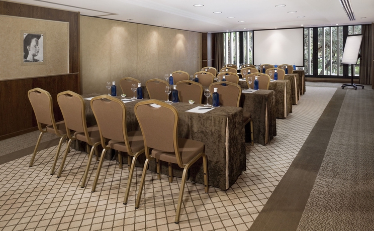 Hotel Gran Melia Don Pepe