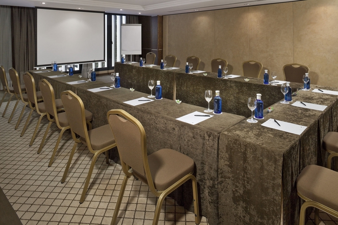 Hotel Gran Melia Don Pepe