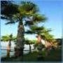 Hotel Grand Resort Limassol