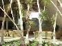 Hotel Grand Sirenis Mayan Beach