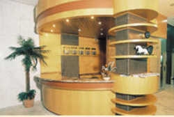Hotel Harbor Hotel Regent Suítes