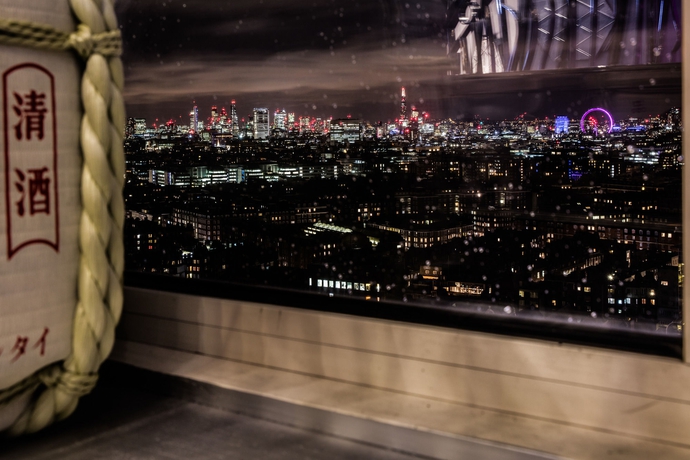 Hotel Hilton London Metropole