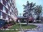 Hotel Holiday Inn Boston - Newton