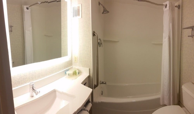 Hotel Holiday Inn Express Albany Downtown