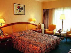 Hotel Holiday Inn Tian