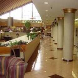 Hotel Holiday Inn Toronto Hotel & Conference Center