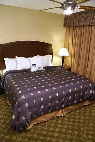 Hotel Homewood Suites South Las Vegas