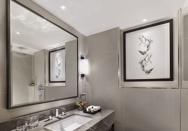 Hotel Hyatt Regency London Churchill