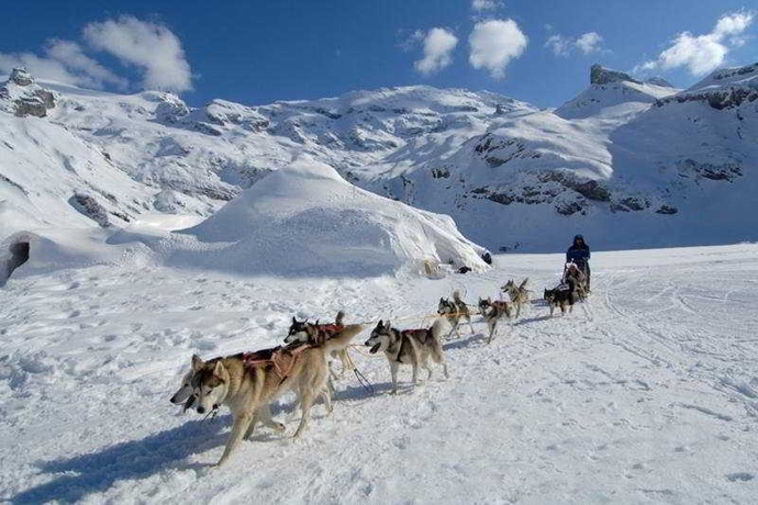 Hotel Iglu